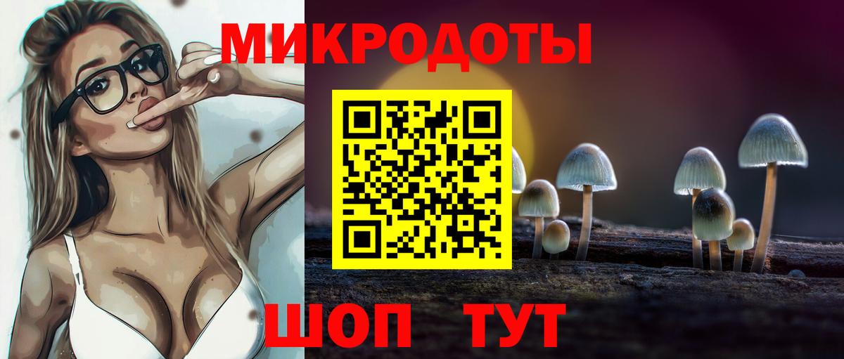 Псилоцибиновые грибы GOLDEN TEACHER Тула